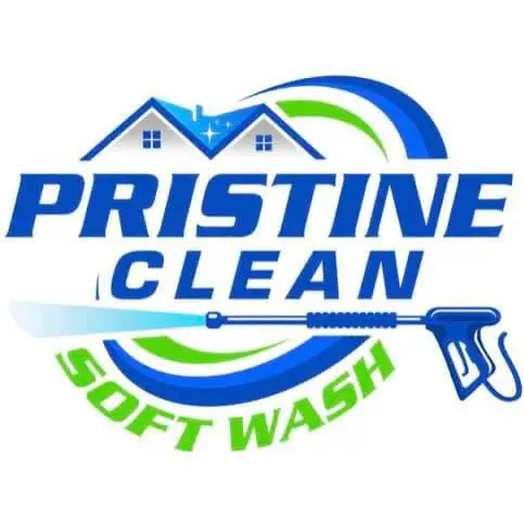 Pristin Clean Soft Wash